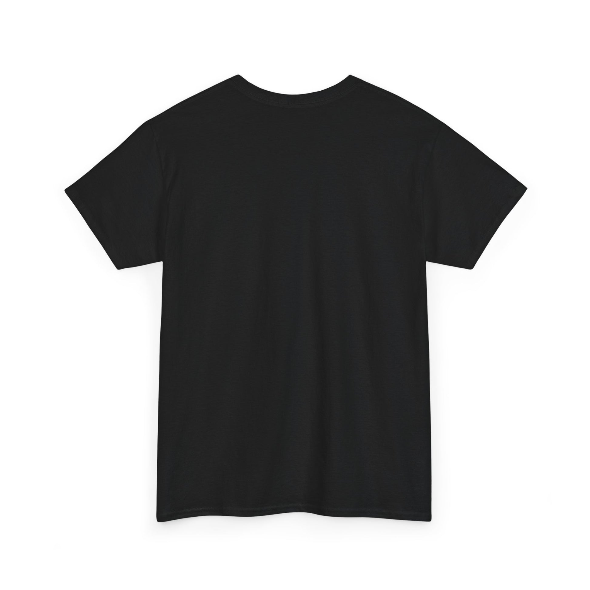 "LARRY TOOK YO BIH" LARRY ON THE BEAT MERCH Unisex Heavy Cotton Tee - Comfortable Everyday Shirt for All Seasons, Perfect for Casual Outings, Gift for Friends, Birthday Wear, ETC